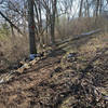 Singletrack portion of trailhead