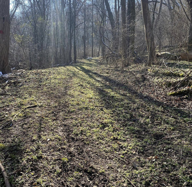 Old road portion of trailhead