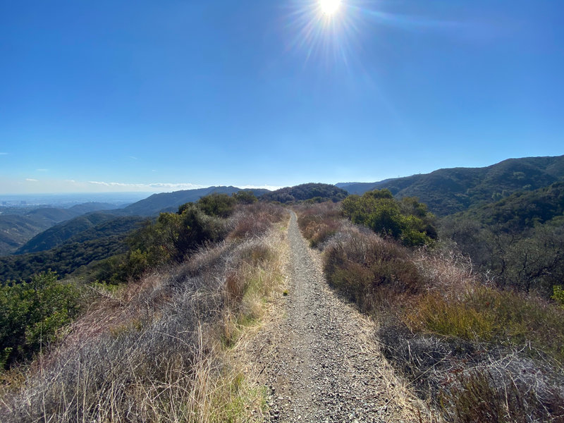 Heading south on the Backbone Trail.