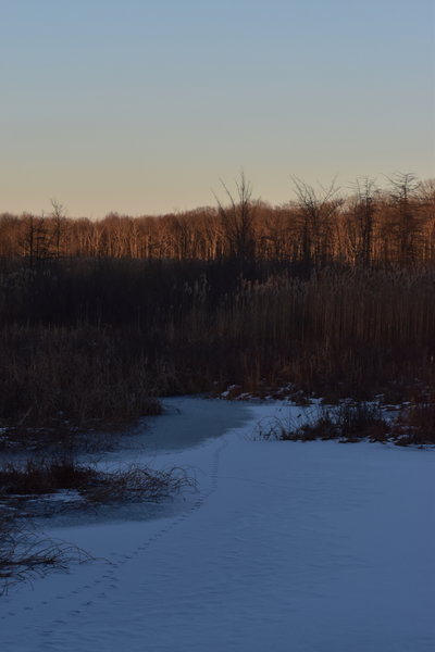 Seven Ponds Trail