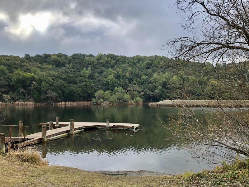 Boronda Lake - Foothills Park