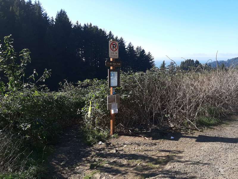 A trailhead sign marks a trail that goes down into a meadow.