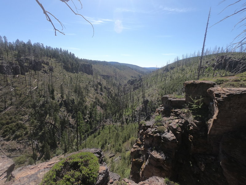 Desolation Canyon from north section of Twin Pillars Trail.