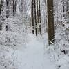 The advanced ski trail, part of the grand loop. about 6 inches of snow.