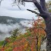 A typical West Virginia fall day, wet and foggy!