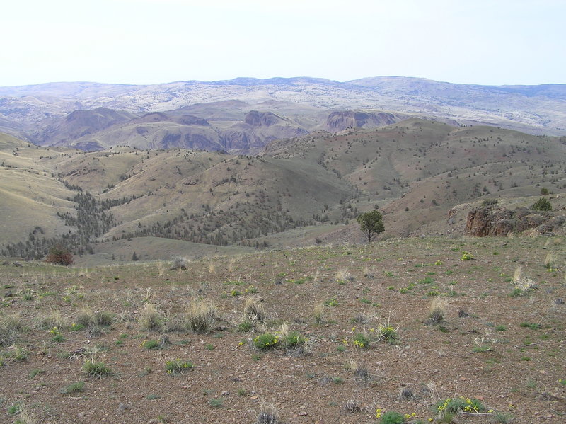 View west from Horse Mountain summit.