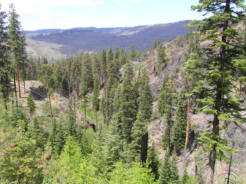 Mill Creek Wilderness from upper section of Belknap trail.