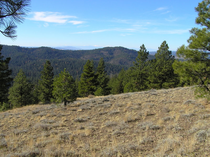 Three Sisters looking west from Round Mountain Trail.