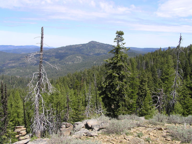 Round Mountain from Independent Mine Trail.