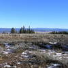 View east towards Big Summit Prairie.