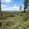Mt. Washington from Green Ridge Trail