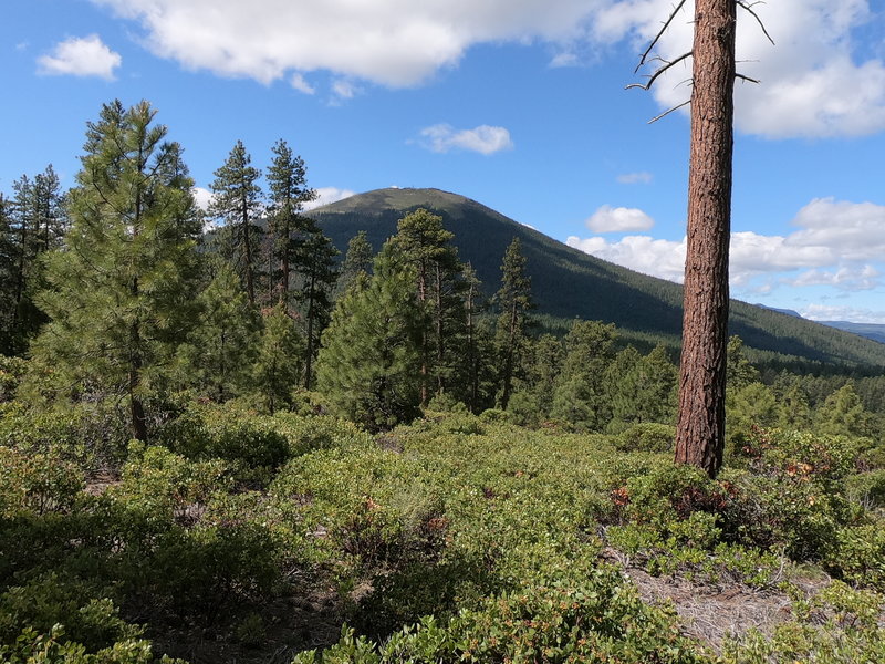 Black Butte from Green Ridge Trail