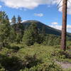 Black Butte from Green Ridge Trail