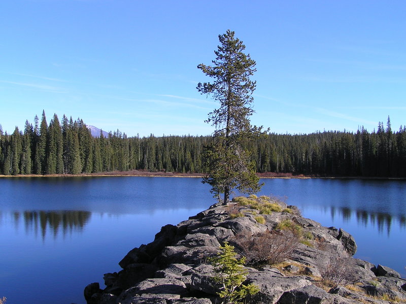 View from Horse Lake peninsula