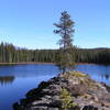 View from Horse Lake peninsula