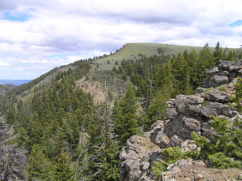 Spanish Peak from trail