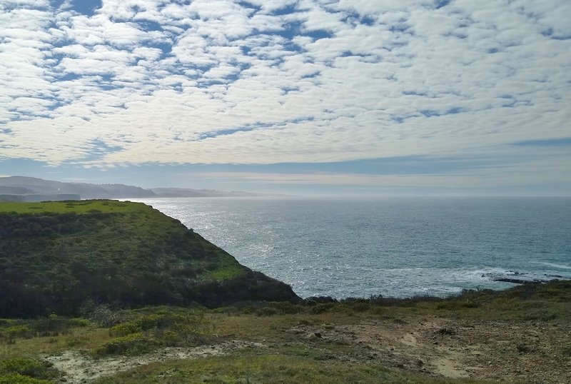 The ocean shimmering in the afternoon sun, looking south at the south end of the Seal Rock Overlook Spur.