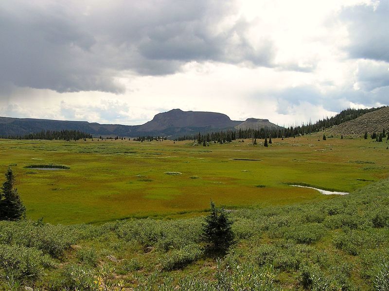 View south from Trappers Pass