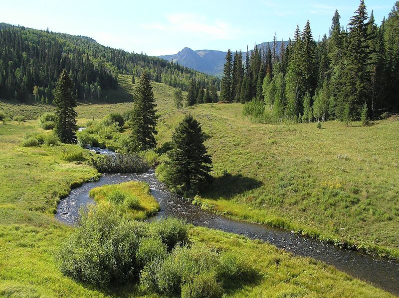 East fork Marvine Creek