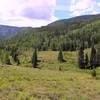 East fork Marvine Creek