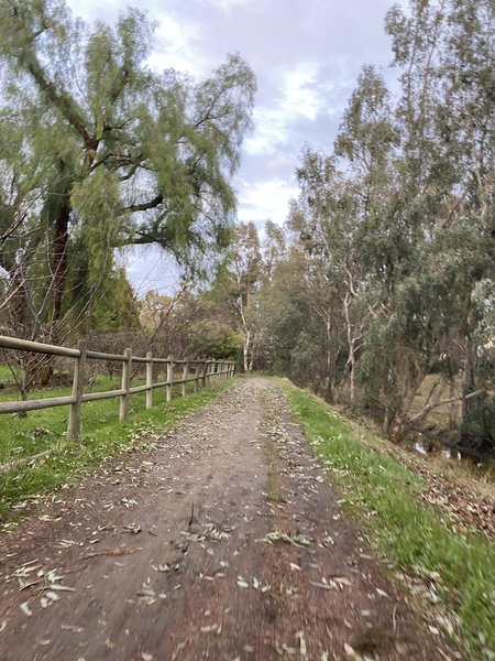 Upper trail next to the stream.