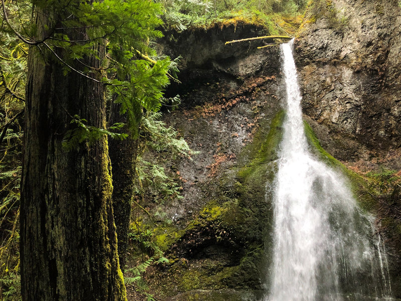 Marymere Falls from the main viewpoint.