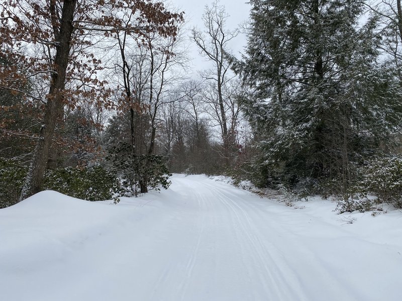 Camp Conly Access Road