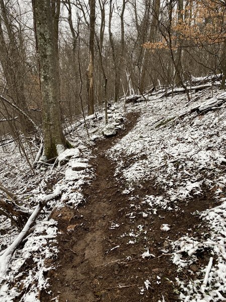 Singletrack portion of Gray Trail start.