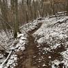 Singletrack portion of Gray Trail start.