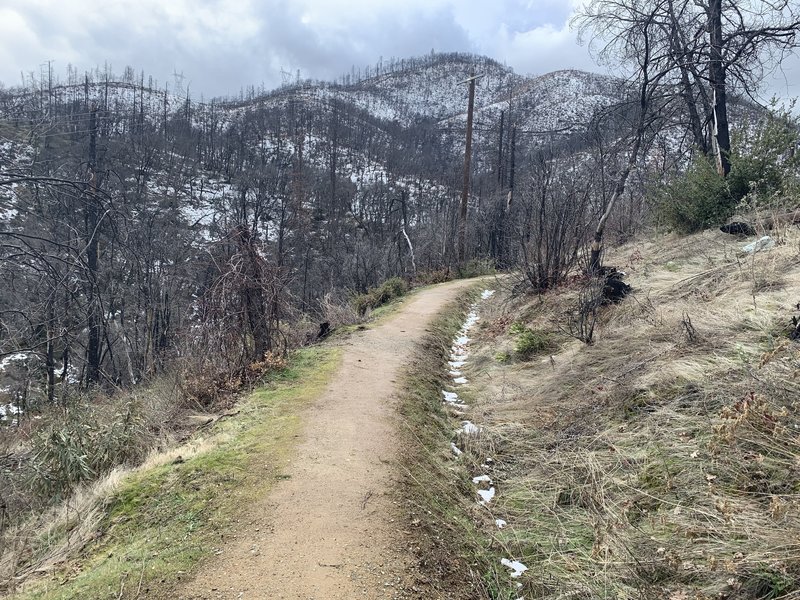 Trail on the ditch levy.