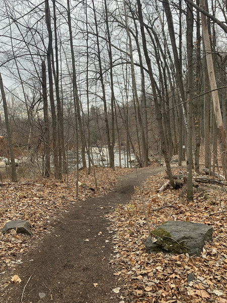 Coffin Factory Loop along New Haven River.