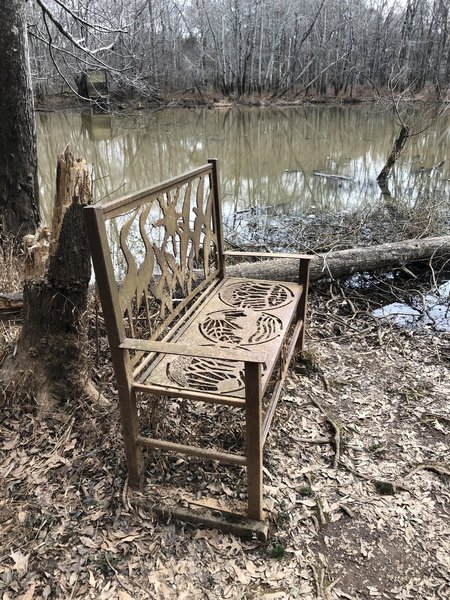 Beautiful - and surrealist - bench in the Sandy Creek Nature Loop