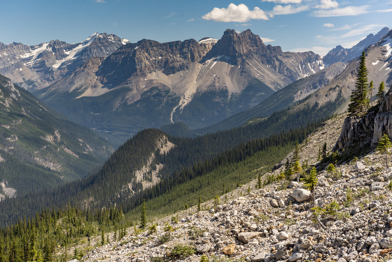 The view south from the Iceline Trail, just before turning downhill to descend back into the valley and Takkakkaw Falls.