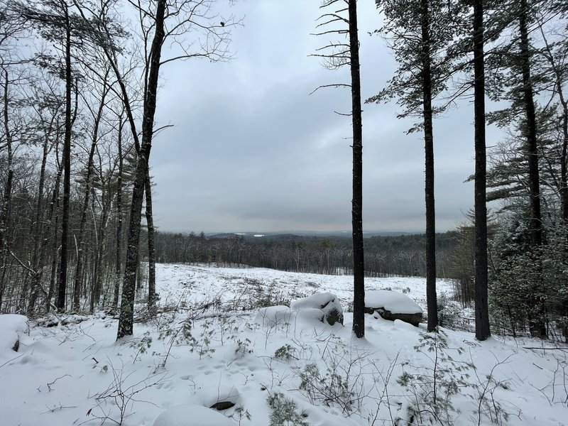 Swope Slope Viewpoint