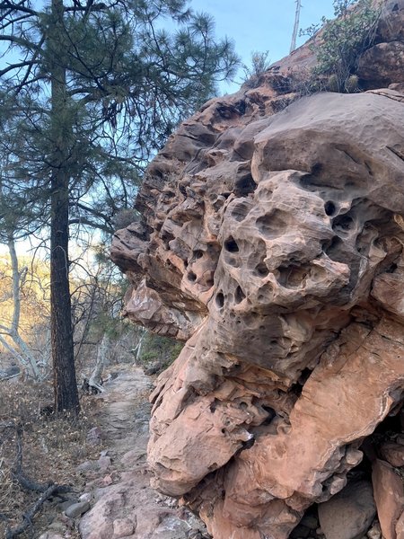 Rock formation on Huckaby Trail