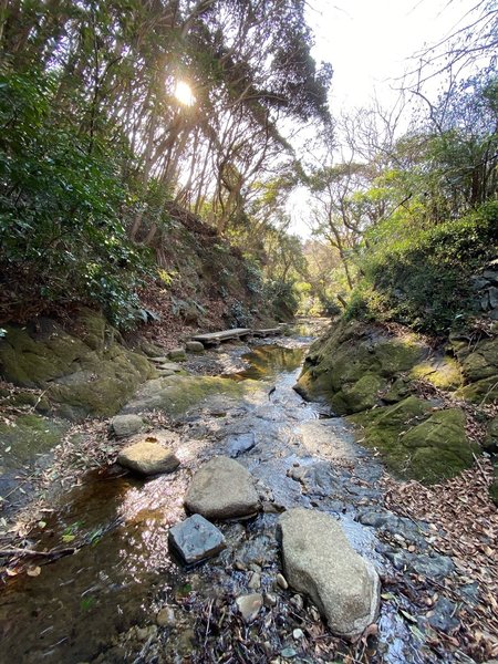 A view looking down the river.