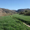 Verdant section of the Raptor Ridge trail near Bandy Canyon Road.