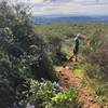 Heading down the Glider Point Trail on Black Mountain.