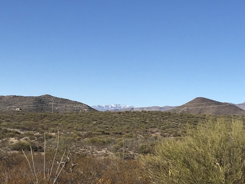 View of snowy Mt Lemmon.