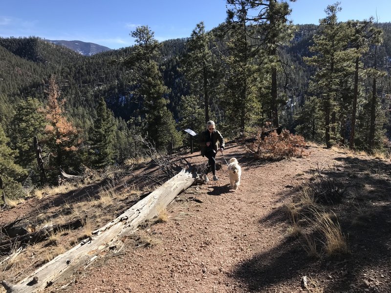 The girls heading up West Circle Trail on sunny February afternoon.