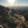 Looking down-trail towards Tucson.