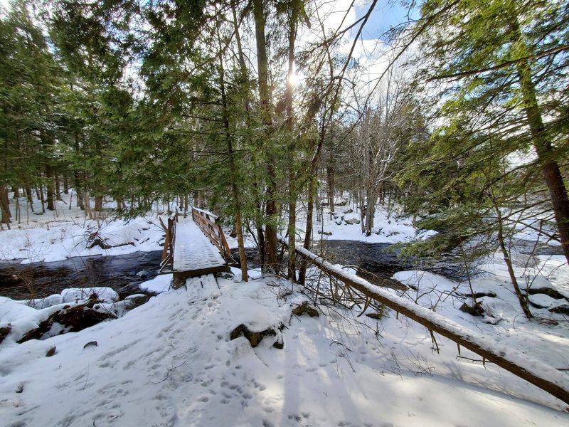 Footbridge in winter