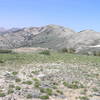 Looking north on Ruby Crest trail just west of Indian Graveyard Basin.