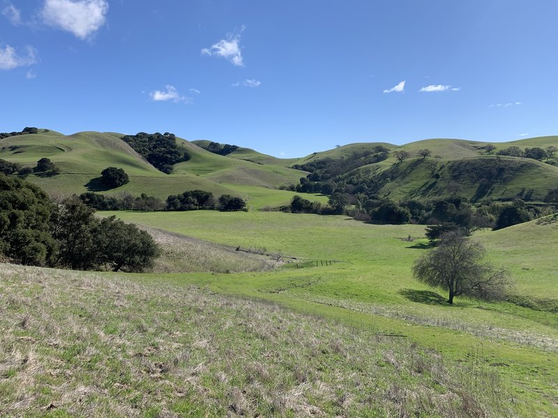 View from the Kestrtel Loop Trail.