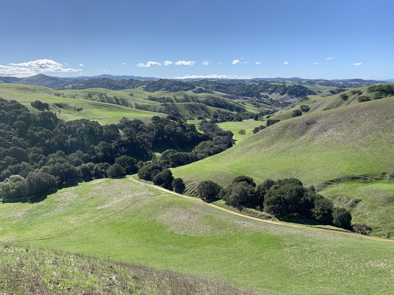 View from the Two Peaks trail.