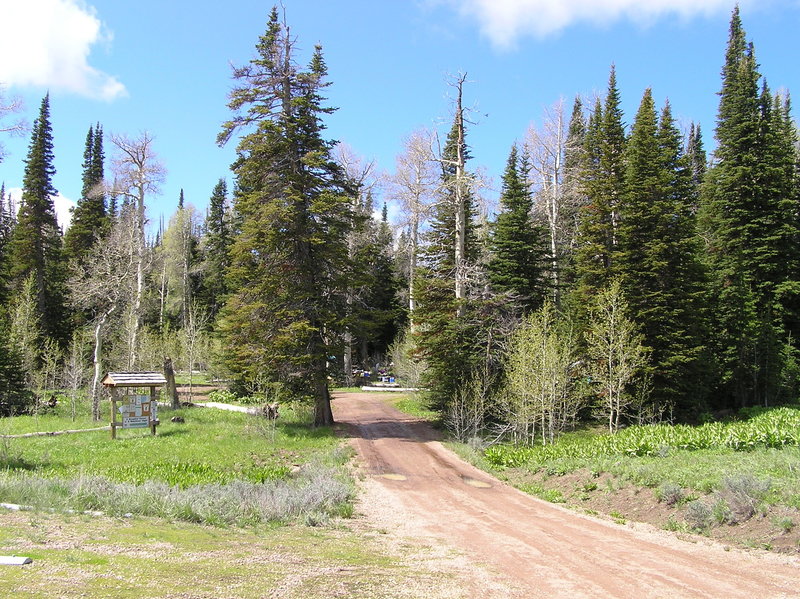 Slide Creek Campground adjacent to trailhead.