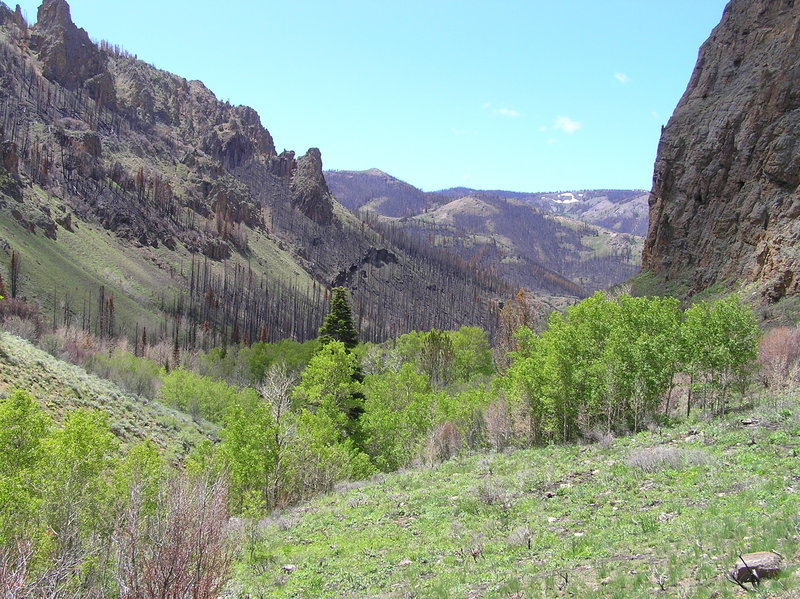 Entering Slide Creek Canyon.