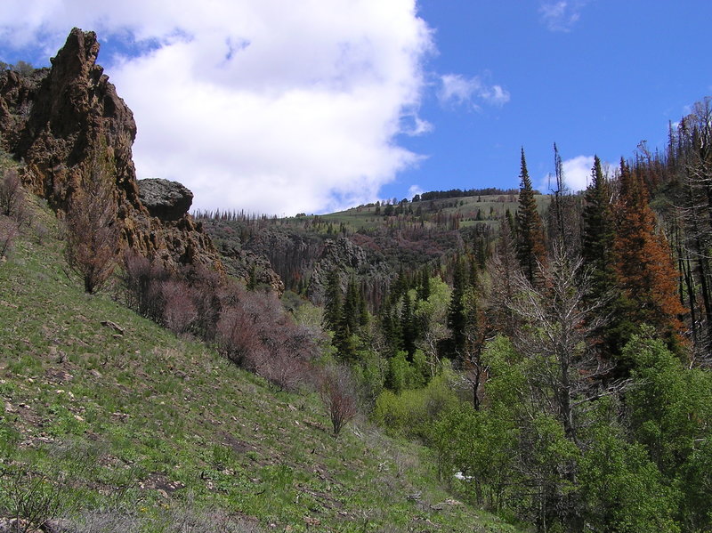 Looking back up Slide Creek Canyon