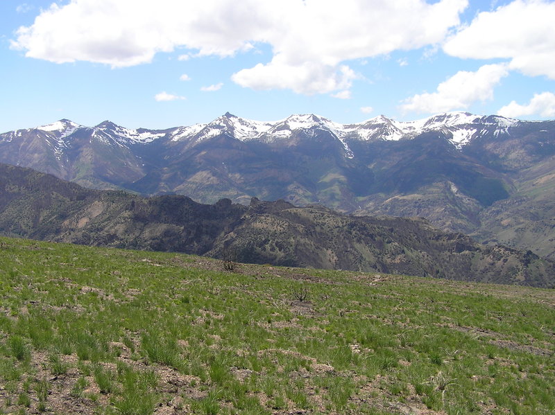 View of main peaks of Jarbidge Wilderness from near Slide Creek Campground. Peaks include (L to R) Prospect, Cougar, Matterhorn, Square Top, Jumbo and Jarbidge.