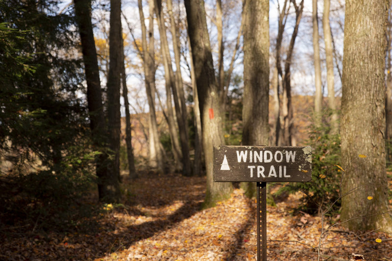 Window Trail - Kennerdell Tract